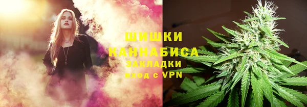 индика Волосово