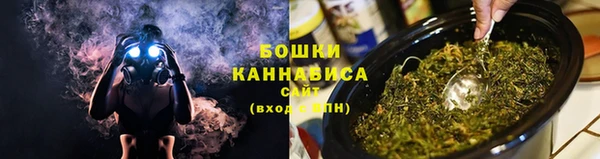 индика Волосово