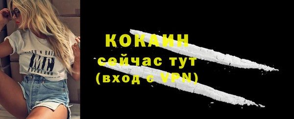 spice Володарск