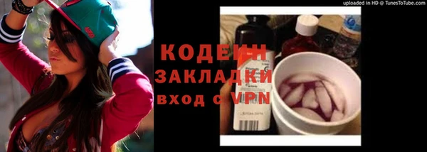 индика Волосово
