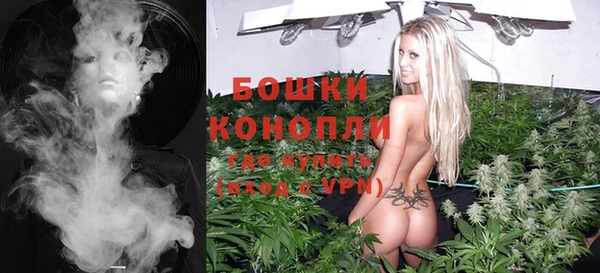 индика Волосово