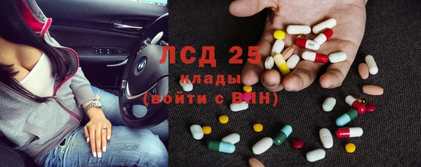 индика Волосово