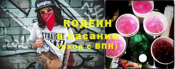 индика Волосово