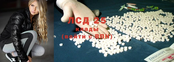 индика Волосово