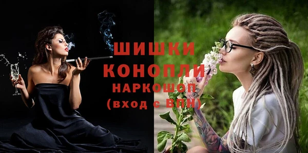 индика Волосово