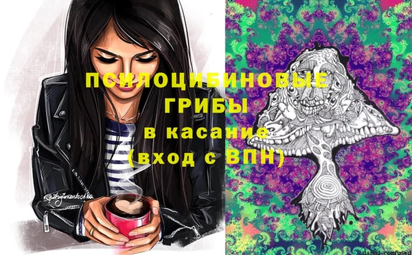 spice Володарск