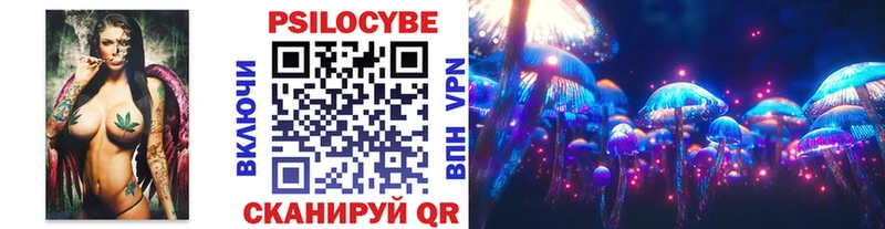 Псилоцибиновые грибы Psilocybe  купить закладку  hydra как зайти  Самара 